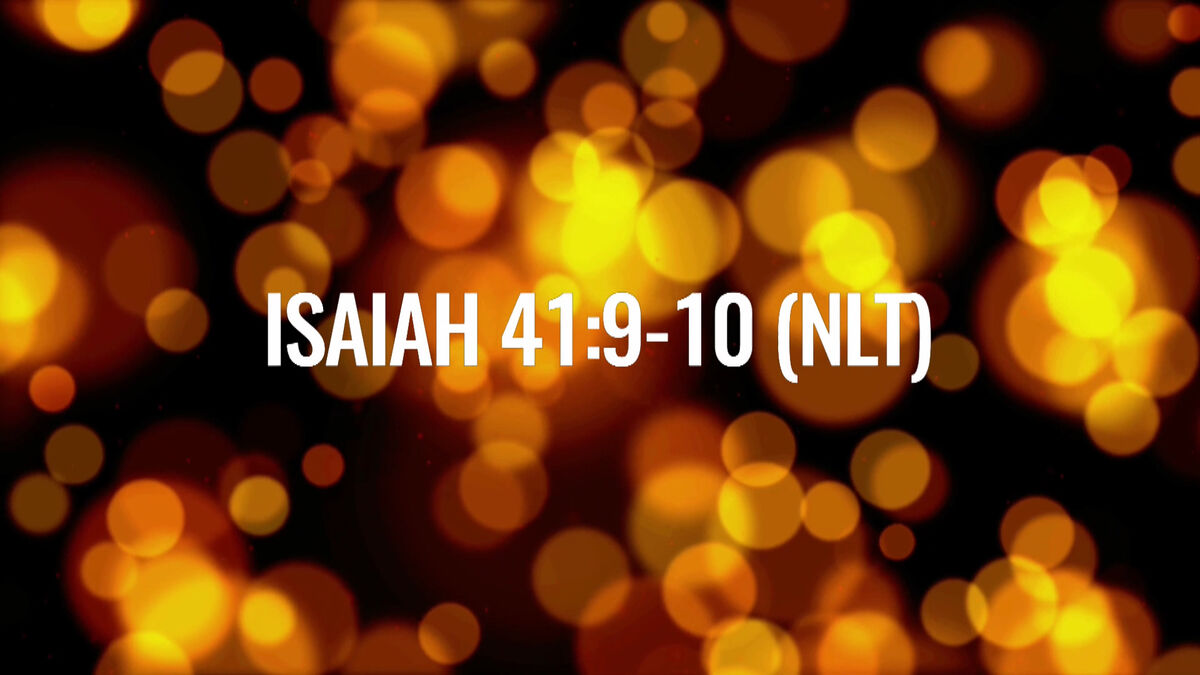 Four Scripture Videos - Instagram and Live Ready Volume 3 image number 4